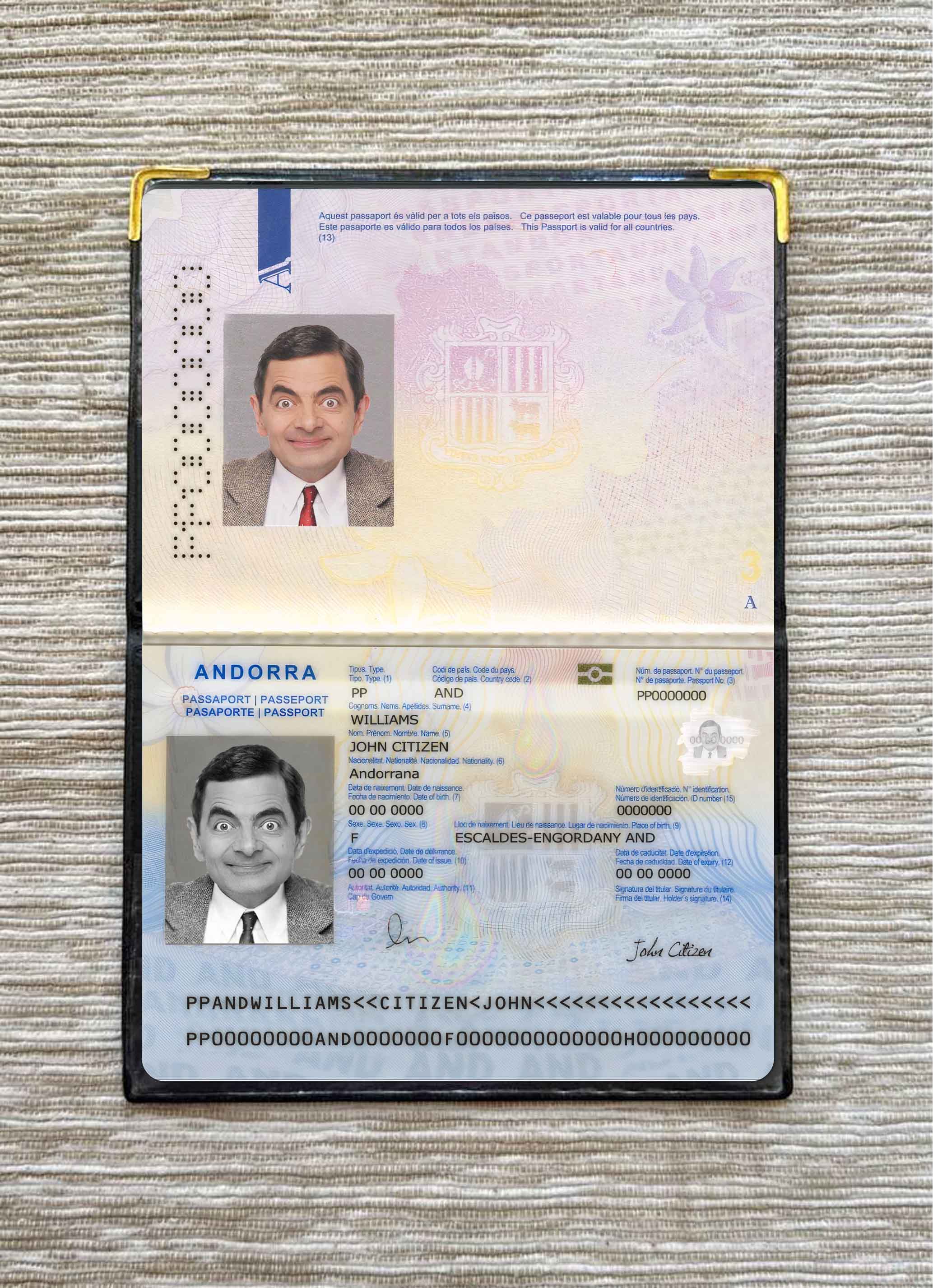 Andorra passport photo look PSD template